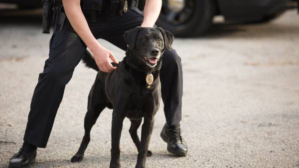 ‘Nothing short of extraordinary;’ Police department mourning death of retired K9 