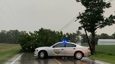 Photos: Storm damage across the Miami Valley