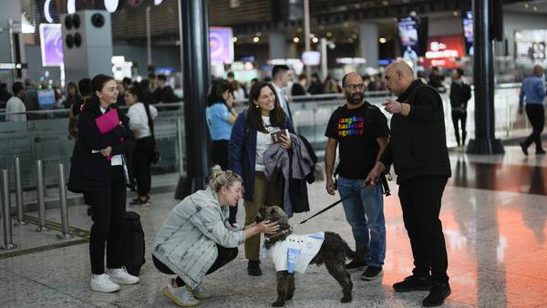 Istanbul airport provides anxious travelers with paw-sitive experience by hiring 5 therapy dogs