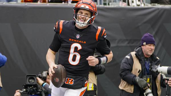 Bengals beat Browns in season finale; AFC North sets post-merger record