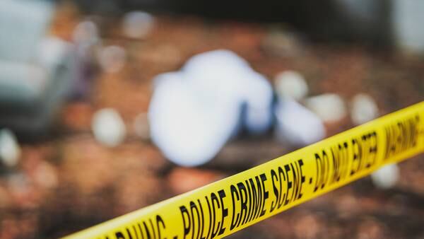 California massacres suggest phenomenon of 'mass shooting contagion': Experts