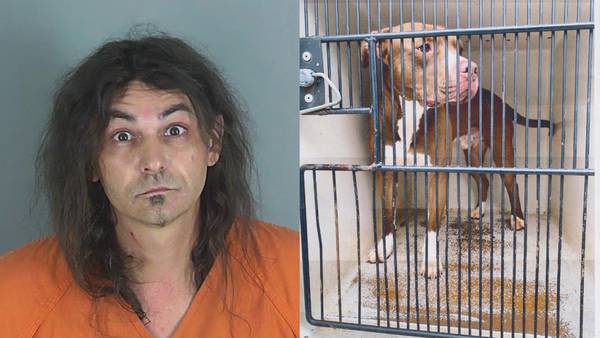 Police: Man said ‘witches’ told him to throw his dog off a bridge