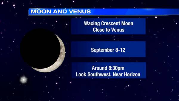 Look for Venus near the moon this week