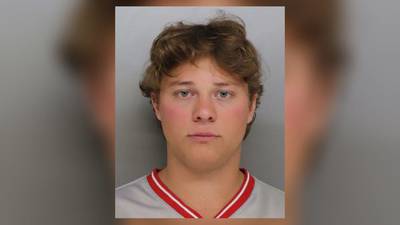 ‘Everybody thinks you landed that backflip’ judge says to teen who ran onto field during Reds game