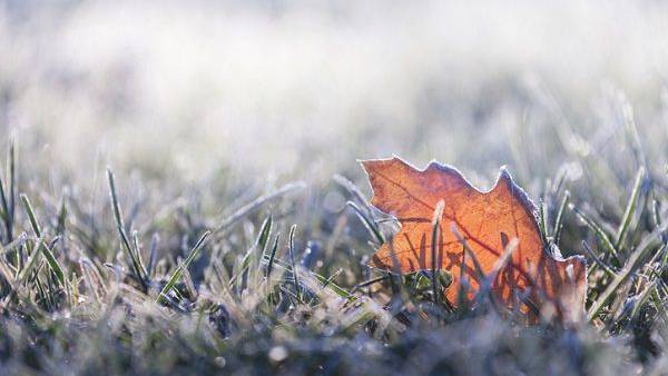 Cold with some frost this Morning; Showers possible Thursday