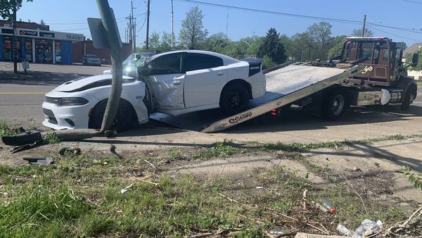 Hooning leads high-performance car to crash into RTA pole; 1 person injured