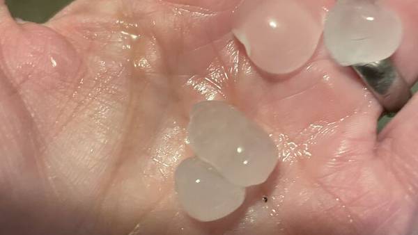 PHOTOS: Hail, tree damage from evening storms