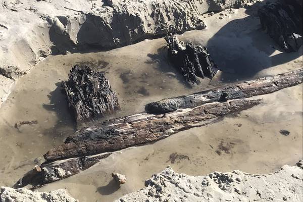Photos: Archeologists examine mysterious structure on Florida beach