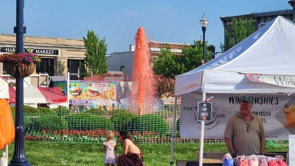 City of Troy packed for this year’s Strawberry Festival despite heat, humidity