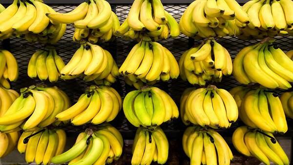 Americans love bananas: Why bananas have remained cheap amid produce inflation