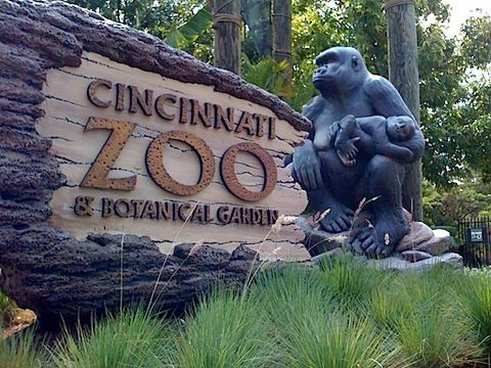 Cincinnati Zoo to offer free admission to military this Labor Day