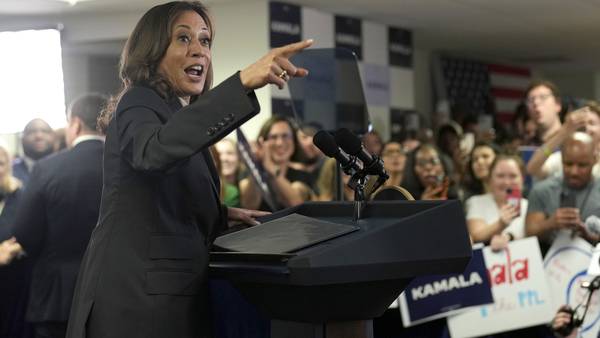 Harris has support of enough Democratic delegates to become party’s presidential nominee: AP survey