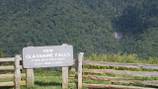 Woman dies after falling down steep cliff on Blue Ridge Parkway