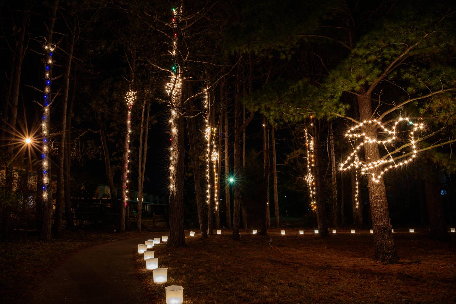 Centerville hosting outdoor holiday light contest for residents WHIO