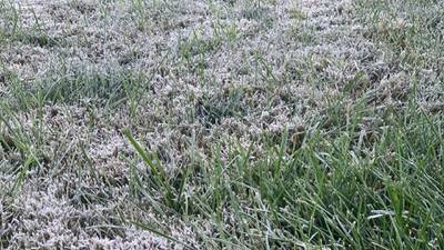 Cold with frost Saturday; Freeze Warning in effect 