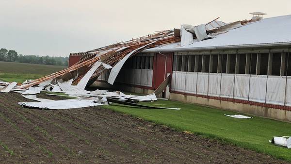 Strong winds cause downed trees, damage to buildings in Darke Co. 