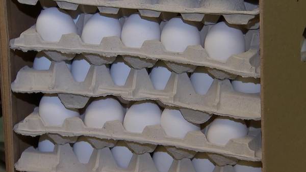‘Fighting Hunger by the Dozens;’ Versailles-based egg producer to donate over 50K eggs