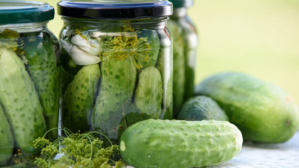 ‘Just Dill With It:’ Pickle festival kicks off in Miamisburg today