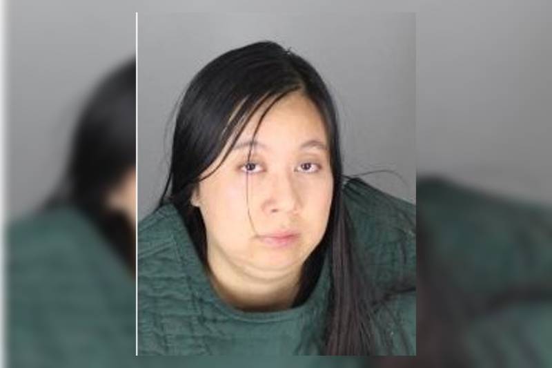 Police: California woman flew cross-country and rented Detroit-area ...