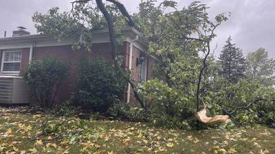 PHOTOS: Strong winds, heavy rain leave trees down, fences toppled in Miami Valley