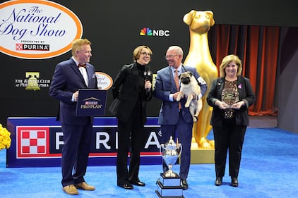 National Dog Show