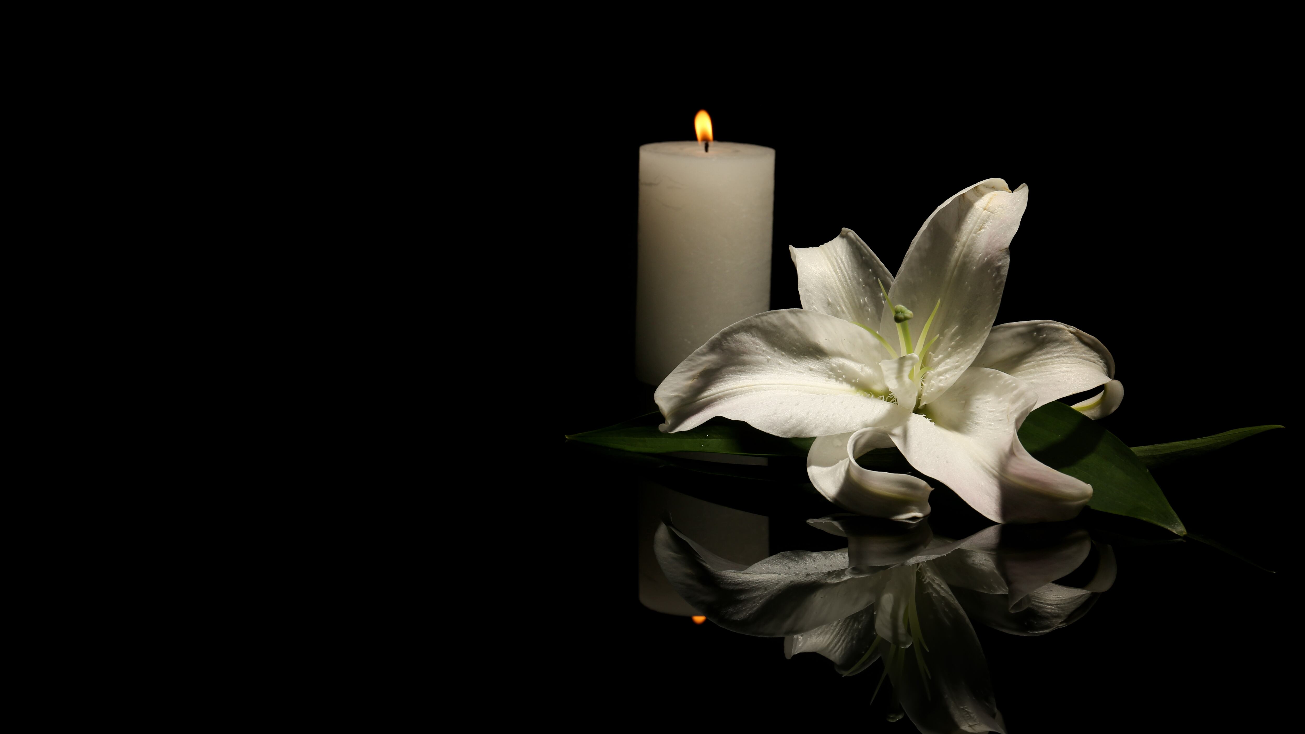 Beautiful lily and burning candle on dark background with space for text. Funeral flower