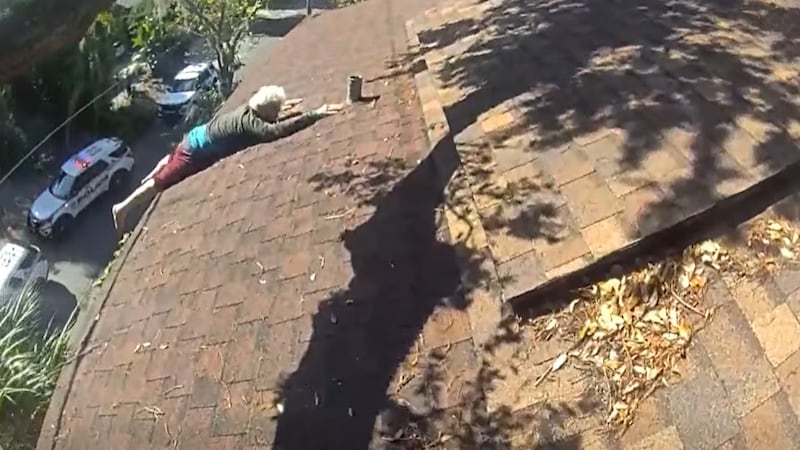 Police rescue man dangling from 3-story home after he fell while blowing leaves off roof