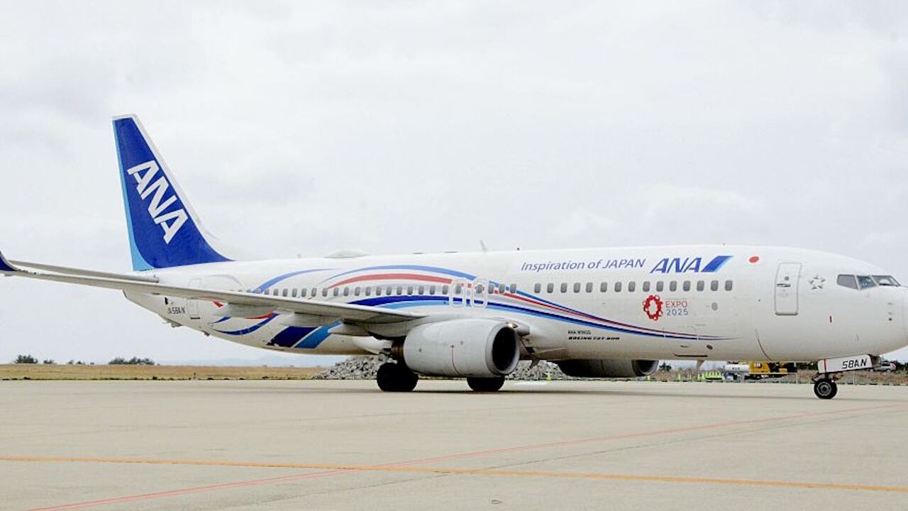 Officials said the passenger attempted to open the aircraft's exit door during the flight.