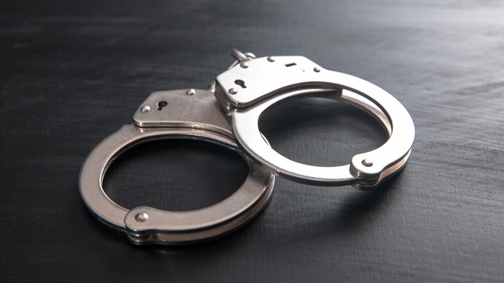 A woman was arrested in Tampa, Florida after police connected her to three newborn puppies that were found in a dumpster.