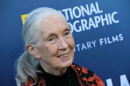 Dr. Jane Goodall