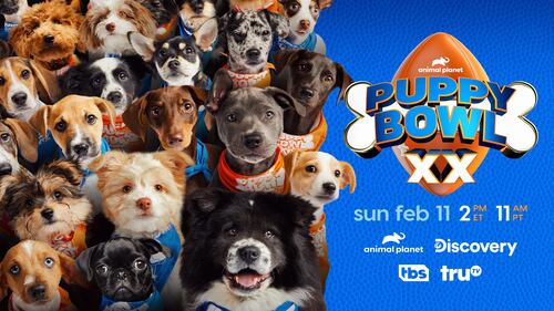 Puppy Bowl starting line up