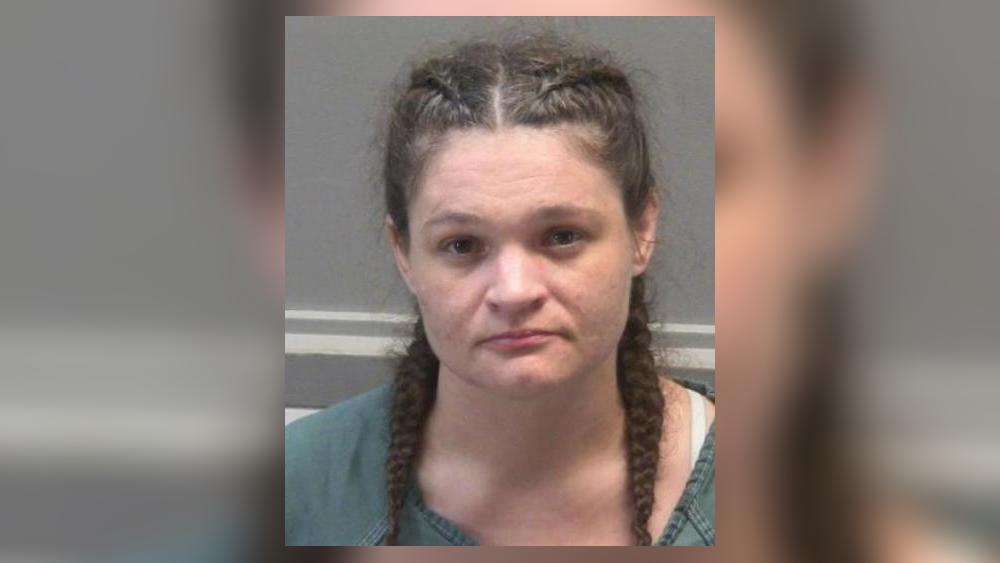 Woman pleads guilty to organized retail theft in Ohio
