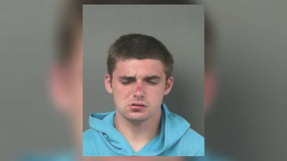 Driver arrested after running from police , crashing stolen car