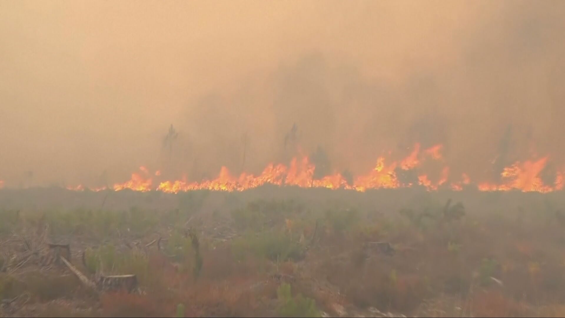 France and Spain wildfires force 300 , 000 people from homes - WHIO TV 7 and WHIO Radio