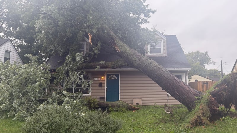 Family cleaning up after tree falls onto house during storm