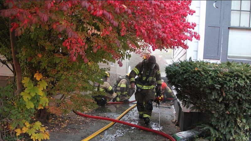 Several pets dead, firefighter injured after house fire in Springfield